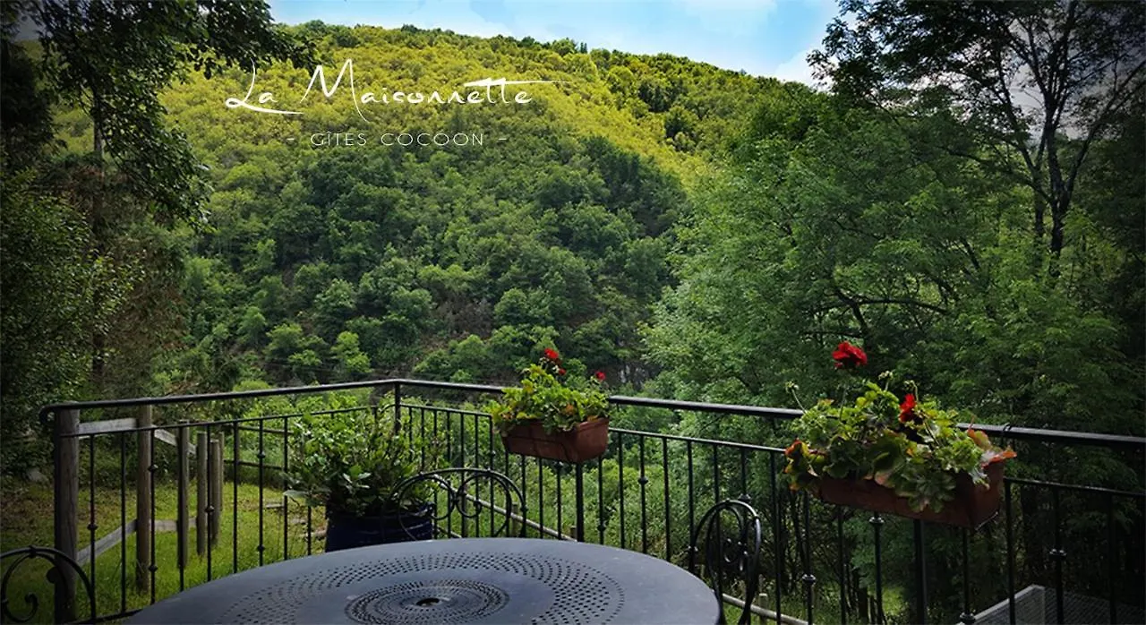 Holiday home La Maisonnette Entraygues-sur-Truyere